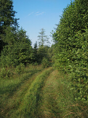 Field in the road among the hills. Landscape in nature in the reserve in the park. Stock photo background