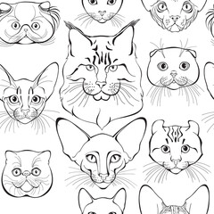 Fototapeta na wymiar Seamless pattern with cats of different breeds. Hand-drawn vector illustration on white. Animal art background. Black and white. Outline.