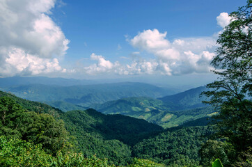 Naklejka premium Beautiful forest in the valley and cloudy sky
