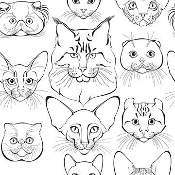 Seamless pattern with cats of different breeds. Hand-drawn vector illustration on white. Animal art background. Black and white. Outline.