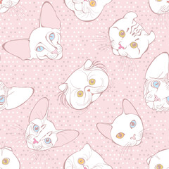 Seamless pattern with white cats of different breeds on a pink polka dot background. Hand-drawn vector illustration. Animal art background.