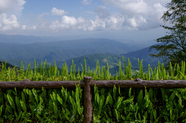 Obraz premium Wood fence and fern leaves with beautiful mountain