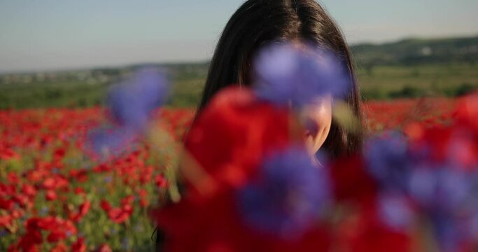 Close up portret of young brunette woman in a red polka dot dress stands in the middle of the field of poppies. Charming lady with incredible smile holds bouquet of poppies in hands and begins to snif