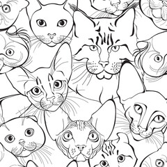 Seamless pattern with cats of different breeds. Hand-drawn vector illustration on white. Animal art background. Black and white. Outline.