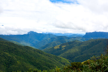 Naklejka premium Duży zielony krajobraz górski las z pokrywającymi chmury