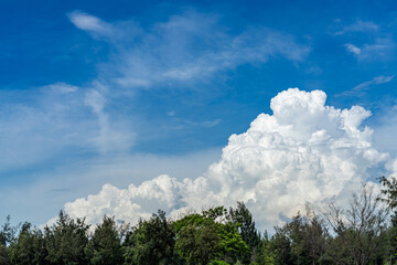 Fototapeta premium Vast white cumulus clouds with blue sky background