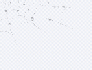 Water rain drops on spider web texture isolated on transparent background. Vector pure droplets spiderweb surface pattern