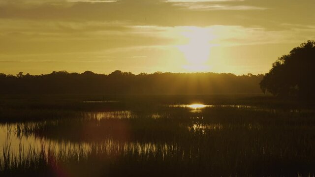 Fire Sunset and Silhouette Marsh in South Carolina, Tilt Up