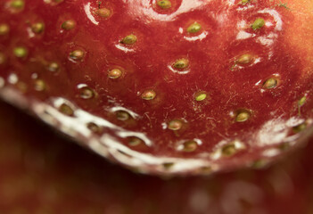 Strawberry berries close up. Visible structure and small details. Small drops of water.