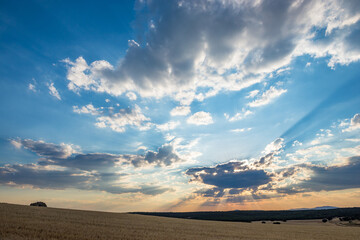 sunset in the field