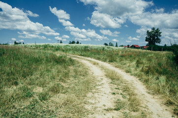 dirt road, countryside landscape with blue sky and fluffy clouds
