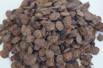 A type of herb used in kitchen