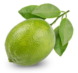 Fresh lime with green leaf isolated on white background, Fresh lime on white With clipping path