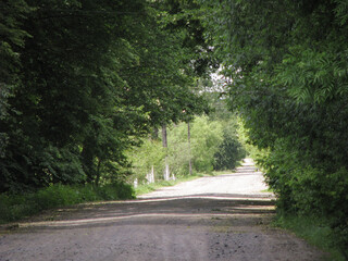 Field in the road among the hills. Landscape in nature in the reserve in the park. Stock photo background