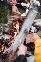 cook marshmallows on a campfire, marshmallows on a stick in your hand
