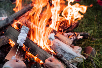 cook marshmallows on a campfire, marshmallows on a stick in your hand