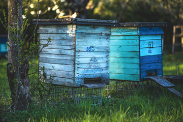 beehive, bee, ul, honey