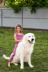 a sweet smiling girl of seven with her friend a Maremma dog on a green lawn