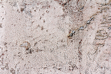 The texture of an iron sheet painted with paint that is subject to corrosion. External part of the object.