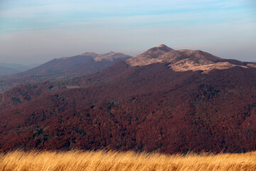 Colorful autumn beech forest, Bieszczady Mountains