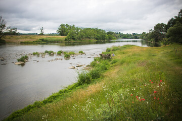 paysage des bords de Loire en été