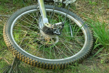 part of a gray bicycle wheel with a rim and knitting needles on the grass in the park - Powered by Adobe