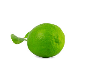 Green raw lemon fruit isolated on white, lime die cut with clipping path