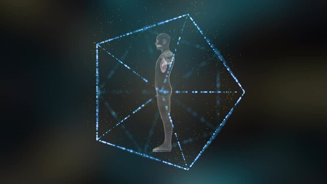 Immune system defends the body against infections and diseases.