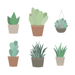 Vector isolated flat colorful set of various abstract plants in pots icons
