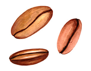 Hand-drawn watercolor painting. Three coffee beans isolated on a white background.
