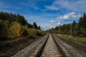 Fototapeta na wymiar Railway among the forest under the blue sky