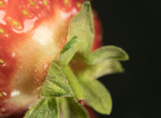 Strawberry berries close up. Visible structure and small details. Small drops of water.