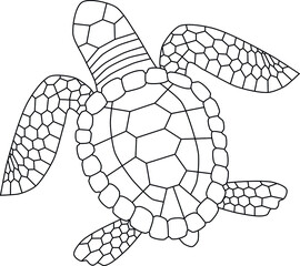 Vector black and white linear turtle, coloring page or emblem, isolated on white background