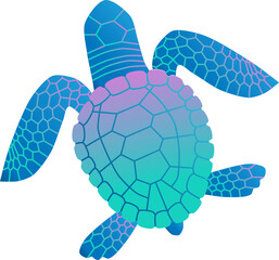 Vector flat line bright gradient colored turtle isolated on white background