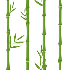 Green bamboo seamless vector pattern background