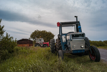 Old tractors and trailers collecting  peat bog for fuel in rual Ireland