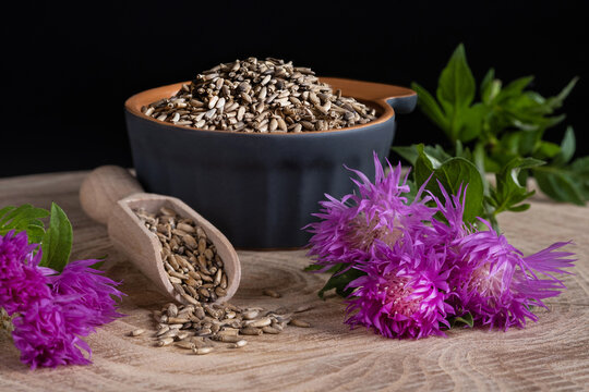 Milk thistle (Silybum marianum) seeds and flowers on a wooden background. Medical plants. Alternative medicine.