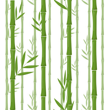 Green bamboo seamless vector pattern background © darafeja