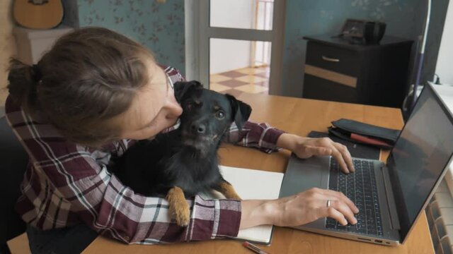 European female freelancer work from home office and pets interruption while working at home. Dog bothers her. Working and studying from home problem concept