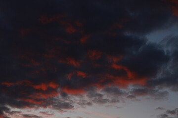 sunrise, city, nature, clouds, flowers