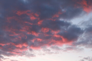 sunrise, city, nature, clouds, flowers