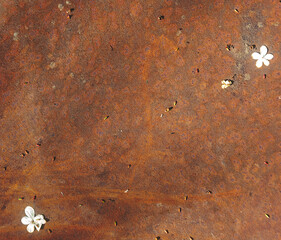 rusty metal background