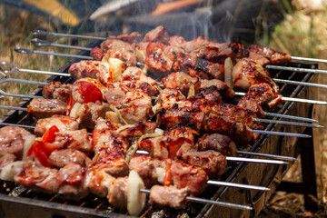 Beautiful juicy kebabs in the smoke are grilled in nature. Rest at nature.