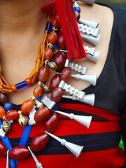 detail of necklace from naga costume, during hornbill festival in kohima -nagalang-india © MICHEL