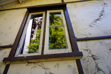 Green foliage reflected in the window panes of and old house