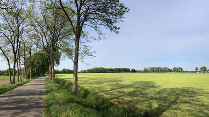 Road around Heidenhoek in Gelderland