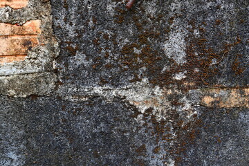 Crack of cement floor and wall textured