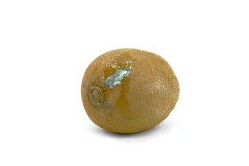 Fototapeta premium Spoiled Kiwi on the white background. Crumpled dried kiwi with Fungus with molds. Improper storage of fruit.