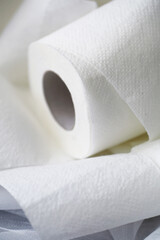 Toilet paper in a roll. Snow-white soft three-layer toilet paper. Lack of hygiene products. Primary protection and disinfection.