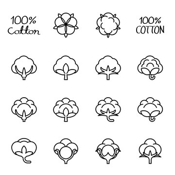 Cotton flower isolated vector icon, cotton design concept logo.